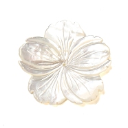 Natural White Shell Beads, Flower, WhiteSmoke, 31x31x3mm, Hole: 0.5mm(SHEL-M021-08B)