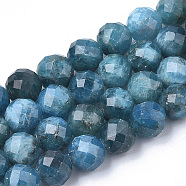Natural Apatite Beads Strands, Faceted, Round, 5.5~6x6mm, Hole: 1mm, about 29~32pcs/strand, 7.48 inch(X-G-S345-6mm-008)