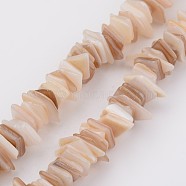 Natural Shell Bead Strands, Rectangle, BurlyWood, 5~17x5~7x1~4mm, Hole: 1mm, about 200pcs/strand, 15.7 inch(X-BSHE-P021-14)