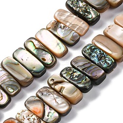 Natural Paua Shell Beads Strands, Rectangle, Colorful, 16~17x6~7x4~6mm, Hole: 0.5mm, about 59pcs/strand, 15.75''(40cm)(BSHE-B007-01)