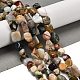 Natural Ocean Jasper Beads Strands(G-P497-01E-90B)-2