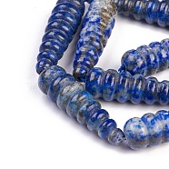 Natural Lapis Lazuli Beads Strands, teardrop, Beehive Beads, 34~36x9~11mm, Hole: 1.5mm, about 11pcs/strand, 14.9 inch~15.3 inch(38~39cm)(G-G263-M1-03)