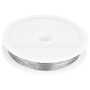 304 Stainless Steel Wire, Round, for Jewelry Making, Stainless Steel Color, 0.3mm, about 164.04 Feet(50m)/Roll(TWIR-BBC0001-01E)