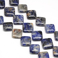 Natural Rhombus Sodalite Beads Strands, 18~19x18~19x6mm, Hole: 1mm, about 22pcs/strand, 15.74 inch(G-L254-07)