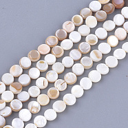 Freshwater Shell Beads Strands, Flat Round, Seashell Color, 6x2~3mm, Hole: 0.5mm, about 64~68pcs/strand, 14.5 inch(SHEL-S276-15A)