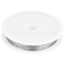 304 Stainless Steel Wire, Round, for Jewelry Making, Stainless Steel Color, 28 Gauge(0.3mm), about 164.04 Feet(50m)/Roll(TWIR-BBC0001-01E)