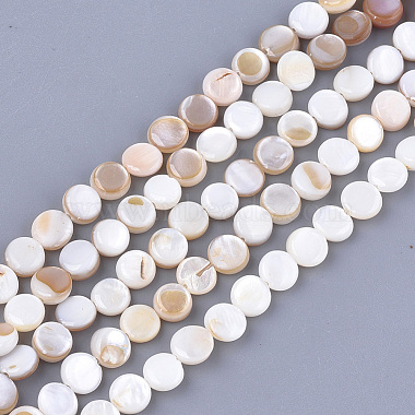 6mm Seashell Flat Round Freshwater Shell Beads