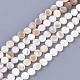 Freshwater Shell Beads Strands(SHEL-S276-15A)-1