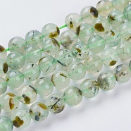 Natural Prehnite Beads Strands, Round, Pale Green, 8mm, Hole: 1mm(G-G457-8mm-03)