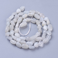Natural White Moonstone Beads Strands, Tumbled Stone, Nuggets, 5~11x4~6mm, Hole: 1mm, about 56~58pcs/strand, 15.4 inch(39cm)(G-P433-16)