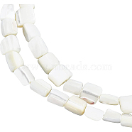 BENECREAT 2 Strands Column Natural White Shell Beads Strands, Mother of Pearl Shell Beads, Creamy White, 7~8x7mm, Hole: 0.8mm, about 56pcs/strand, 15.35 inch(BSHE-BC0001-01)