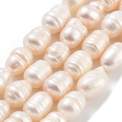 Natural Cultured Freshwater Pearl Beads Strands, Grade AB, Rice, PeachPuff, 7~8mm, Hole: 0.6mm, about 19pcs/strand, 6.69''(17cm)(PEAR-P062-15A)