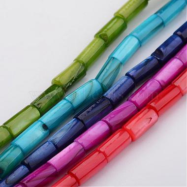 天然石シェルビーズ連売り(BSHE-P016-M)-1