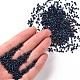 12/0 Glass Seed Beads(SEED-A009-2mm-604)-4