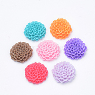 Resin Cabochons, Dahlia Flower, Mixed Color, 19~20x6~7mm(X-CRES-Q197-22)