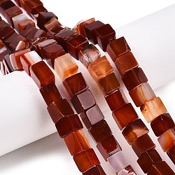 Natural Red Agate(Dyed & Heated) Beads Strands, Cube, 7.5~9x7.5~9x7.5~9mm, Hole: 1.2mm, about 47~49pcs/strand, 15.35~15.79''(39~40.1cm)(G-T139-8x8-35A)