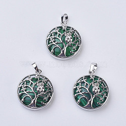 Malachite Pendants, with Brass Findings, Flat Round with Tree of Life, Platinum, 31~32x27x8~9mm, Hole: 5x7mm(G-K234-E17)