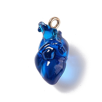 Transparent Resin Pendants, Anatomical Heart Charms, with Golden Plated Iron Loops, Blue, 20.5~21.5x11.5x11mm, Hole: 2mm