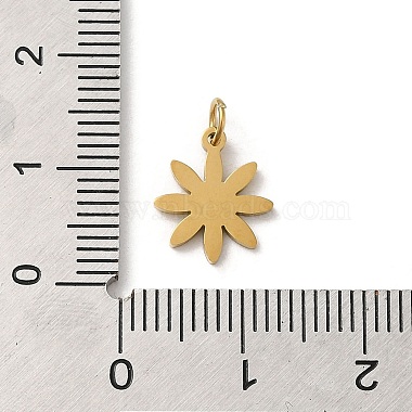 304 Stainless Steel Charms(STAS-K263-32G)-3