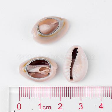 Perles de coquillage cauri naturelles(X-BSHE-S053)-3