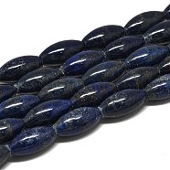 Natural Lapis Lazuli Beads Strands, Rice, 21x10~10.5mm, Hole: 0.7mm, about 19pcs/strand, 15.35''(39cm)(G-K311-11C-01)