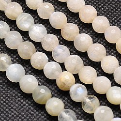 Natural White Moonstone Beads Strands, Faceted, Round, Navajo White, 6mm, Hole: 1mm, about 60pcs/strand, 15.2 inch(G-G549-6mm-01)