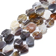 Natural Botswana Agate Beads Strands, Nuggets, 13~17x11~13x4~6mm, Hole: 0.8mm, about 24~25pcs/strand, 16.54 inch(42cm)(G-K245-L03-01)