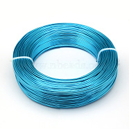 Round Aluminum Wire, Bendable Metal Craft Wire, for DIY Jewelry Craft Making, Dodger Blue, 6 Gauge, 4mm, 16m/500g(52.4 Feet/500g)(AW-S001-4.0mm-16)