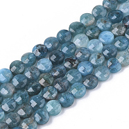 Natural Apatite Beads Strands, Faceted, Flat Round, 4x2.5mm, Hole: 0.6mm, about 102pcs/strand, 15.35 inch(39cm)(G-S362-011)