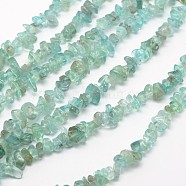 Chips Natural Apatite Beads Strands, 3~8x3~12x3~5mm, Hole: 1mm, about 32 inch(G-N0164-44)