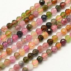Faceted Natural Tourmaline Beads Strands, Round, 2.5mm, Hole: 0.5mm, about 400pcs/strand, 15.7 inch(40cm)(G-F507-05)