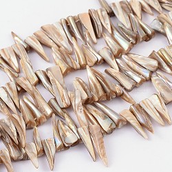 Natural Shell Beads Strands, Erose, White, about 4~9mm wide, 13~35mm long, hole: about 0.5mm, 14 inch(X-YPBB030)