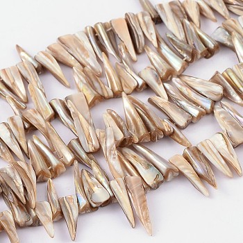 Natural Shell Beads Strands, Erose, White, about 4~9mm wide, 13~35mm long, hole: about 0.5mm, 14 inch