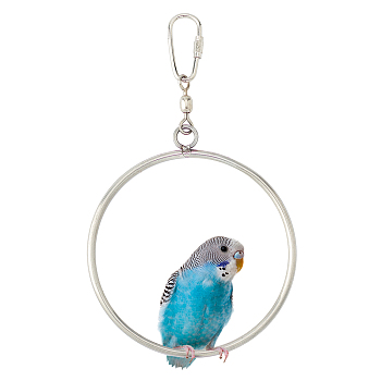 Stainless Steel Pet Swing, Ring, Stainless Steel Color, 170mm