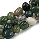 Natural Indian Agate Bead Strands(G-P070-51A)-1