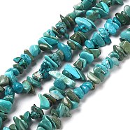 Natural Turquoise Chip Beads Strands, Dyed, Dark Turquoise, 5~8x5~7x1~3mm, Hole: 0.7mm, 32.68''(83cm)(X-G-D093-A01)