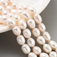 Natural Cultured Freshwater Pearl Beads Strands, Grade 3A, Rice, PeachPuff, 8~9mm, Hole: 0.7mm, about 18pcs/strand, 6.69''(17cm)(PEAR-P062-14D)