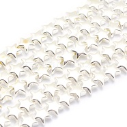 Electroplate Non-magnetic Synthetic Hematite Beads Strands, Grade AA, Long-Lasting Plated, Star, Silver Plated, 6x6mm, Hole: 0.8mm, about 85pcs/strand, 15.7 inch(40cm)(G-L485-14-S)