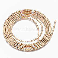 Steel Memory Wire, for Collar Necklace Making, Long-Lasting Plated, Necklace Wire, Light Gold, 12 Gauge, 2mm(TWIR-N003-004LG)