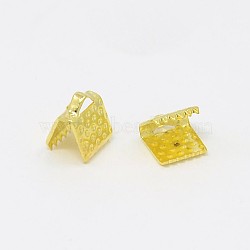 Iron Ribbon Crimp Ends, Golden, 8x8mm, Hole: 2mm(E004Y-G)