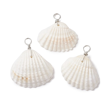 Natural Ark Shell Pendants, Shell Shape Charms with Copper Wire Loops, Platinum, 28~34x24.5~30.5x9~12.5mm, Hole: 4mm