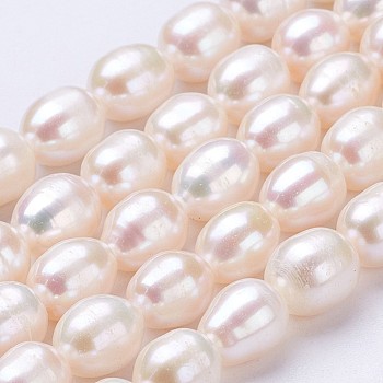 Natural Cultured Freshwater Pearl Beads Strands, Oval, Old Lace, 7~9x6~7mm, Hole: 0.5mm, about 35pcs/strand, 13.39 inch