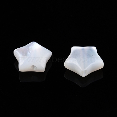 Natural White Shell Beads(SSHEL-N032-54A)-3