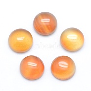 Natural Carnelian Cabochons, Flat Round, Dyed, 8x3~4mm(G-E492-H-03)