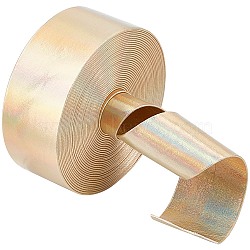 4.6~5M Laser Flat Imitation Leather Cord, Rainbow Color Cord for Clothes Decor, Gold, 30x0.8mm, about 4.6~5m/Roll(LC-GF0001-06F-02)