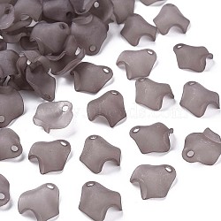 Transparent Acrylic Beads, Frosted, Petal, Dark Gray, 15x14.5x5mm, Hole: 2mm(X-MACR-S373-106-D02)