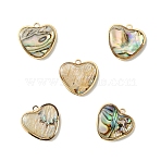 5Pcs Alloy Pave Natural Paua Shell Heart Charms, Light Gold, 15x15x3mm, Hole: 1.5mm(FIND-YW0008-63)