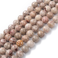 Natural Maifanite/Maifan Stone Beads Strands, Dyed, Round, Thistle, 8mm, Hole: 1.2mm, about 47pcs/strand, 15.55''(39.5cm)(G-P451-01A-B)