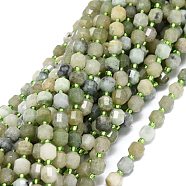 Natural Myanmar Jade Beads Strands, with Seed Beads, Faceted, Bicone, Double Terminated Point Prism Beads, 7~8x7~8mm, Hole: 0.8mm, about 38pcs/strand, 15.35 inch(39cm)(G-O201B-94)