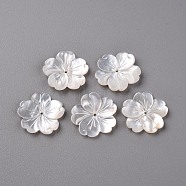 Natural White Shell Mother of Pearl Shell Beads, Carved, Flower, Creamy White, 21x21x2~3mm, Hole: 1mm(SSHEL-R144-10)